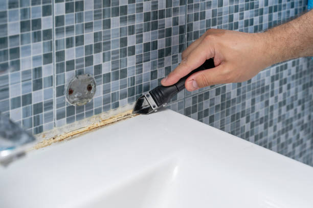 Best Preventive Mold Services in High Ridge, MO